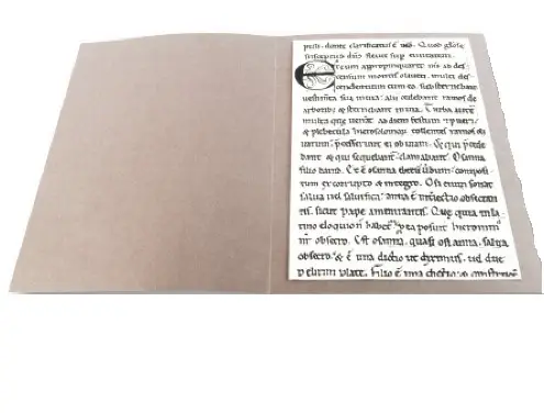 Charte médiévale sur parchemin rangée dans une chemise de conservation